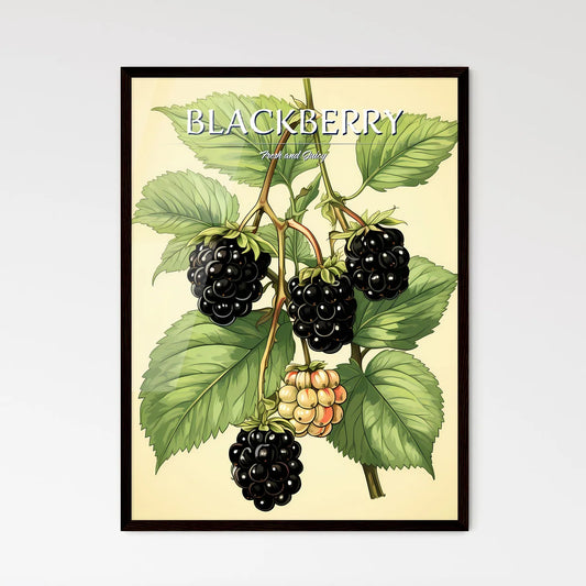A Blackberries On A Branch With Leave - Framed Art Print