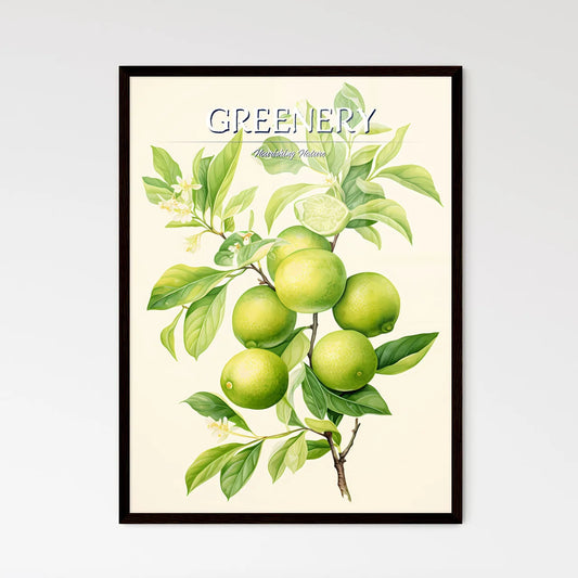 A Close Up Of A Plan - Framed Art Print