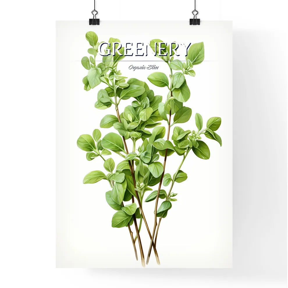 A Close Up Of A Plan Poster