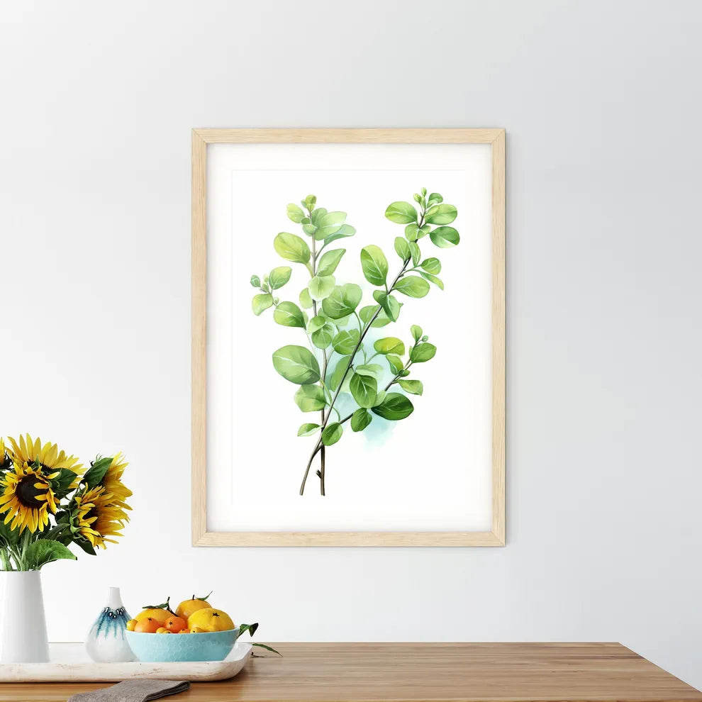 A Close Up Of A Plan - Kitchen Hangings