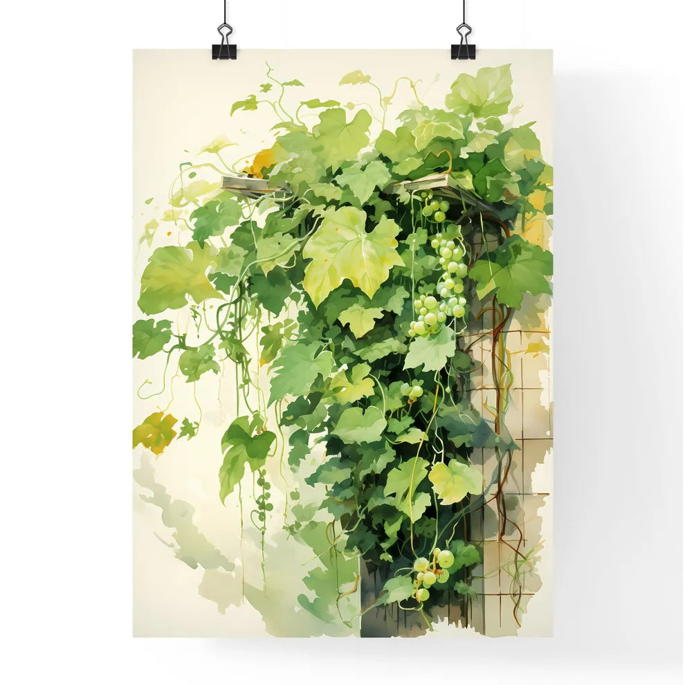 A Painting Of A Vine Plan Poster