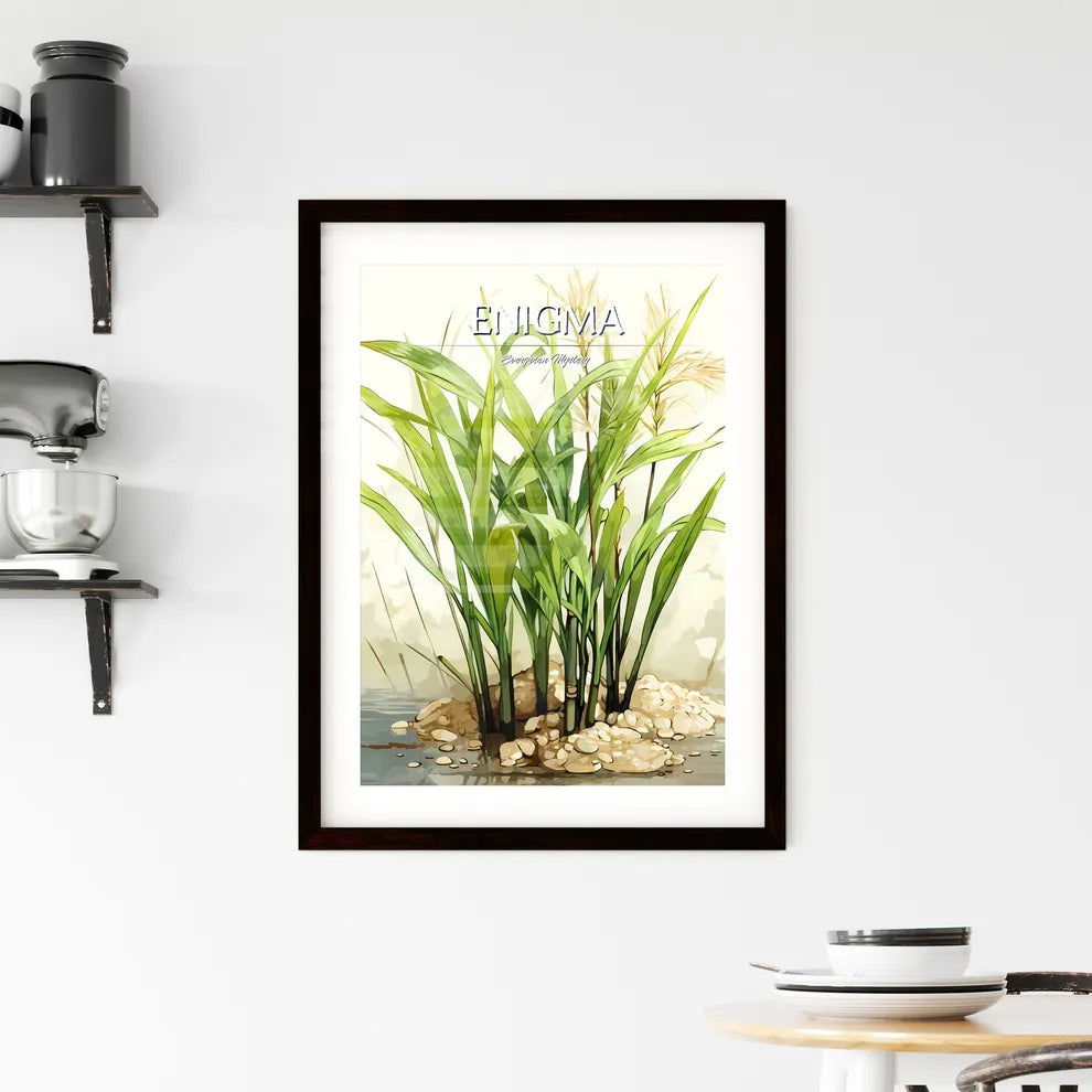 A Plant Growing Out Of Rock Framed Print