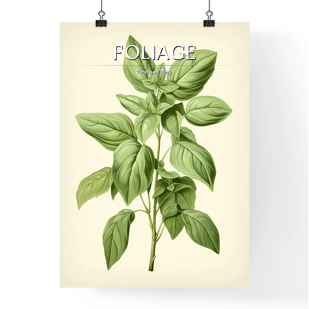 Basil - A Plant With Leaves On I Poster