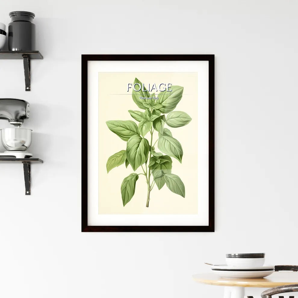 Basil - A Plant With Leaves On I Framed Print
