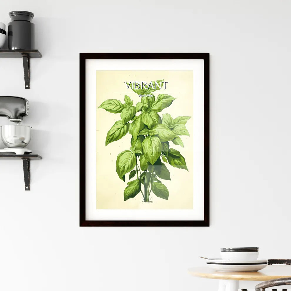 Basil - A Plant With Green Leave Framed Print