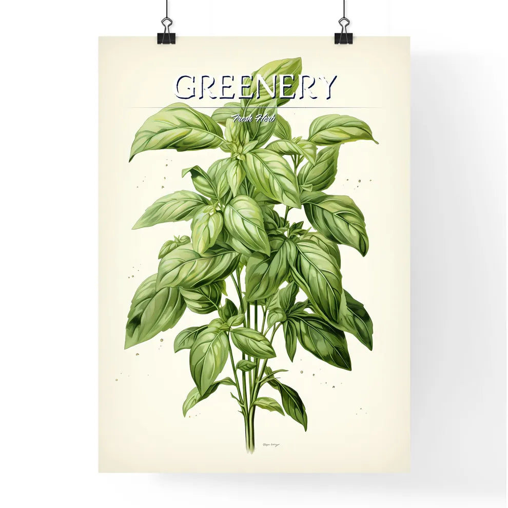 Basil - A Plant With Green Leave Poster