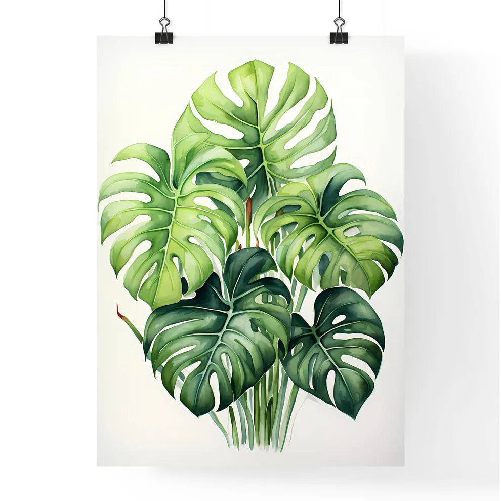 Boho - A Plant With Large Leave Poster