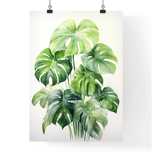 Boho - A Close Up Of A Plan Poster