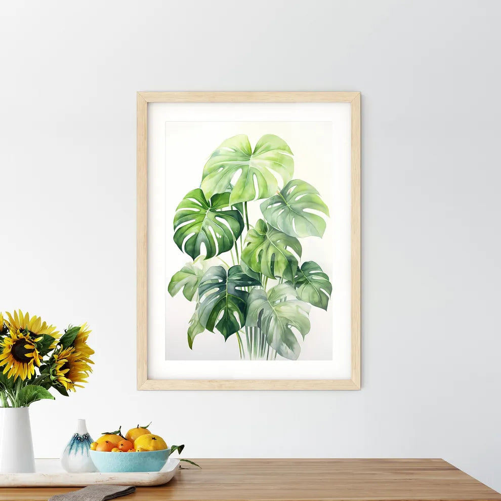 Boho - A Close Up Of A Plan - Kitchen Hangings