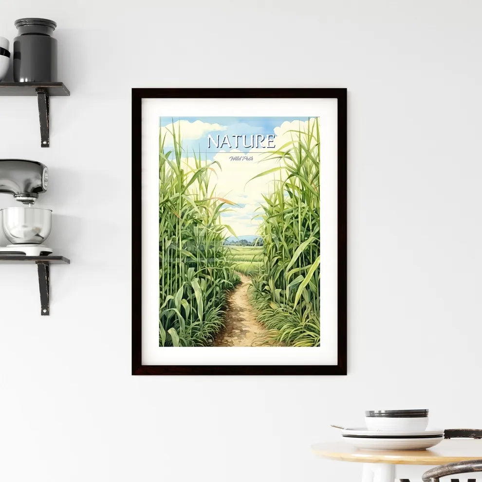 In The South - A Dirt Path Through Tall Framed Print
