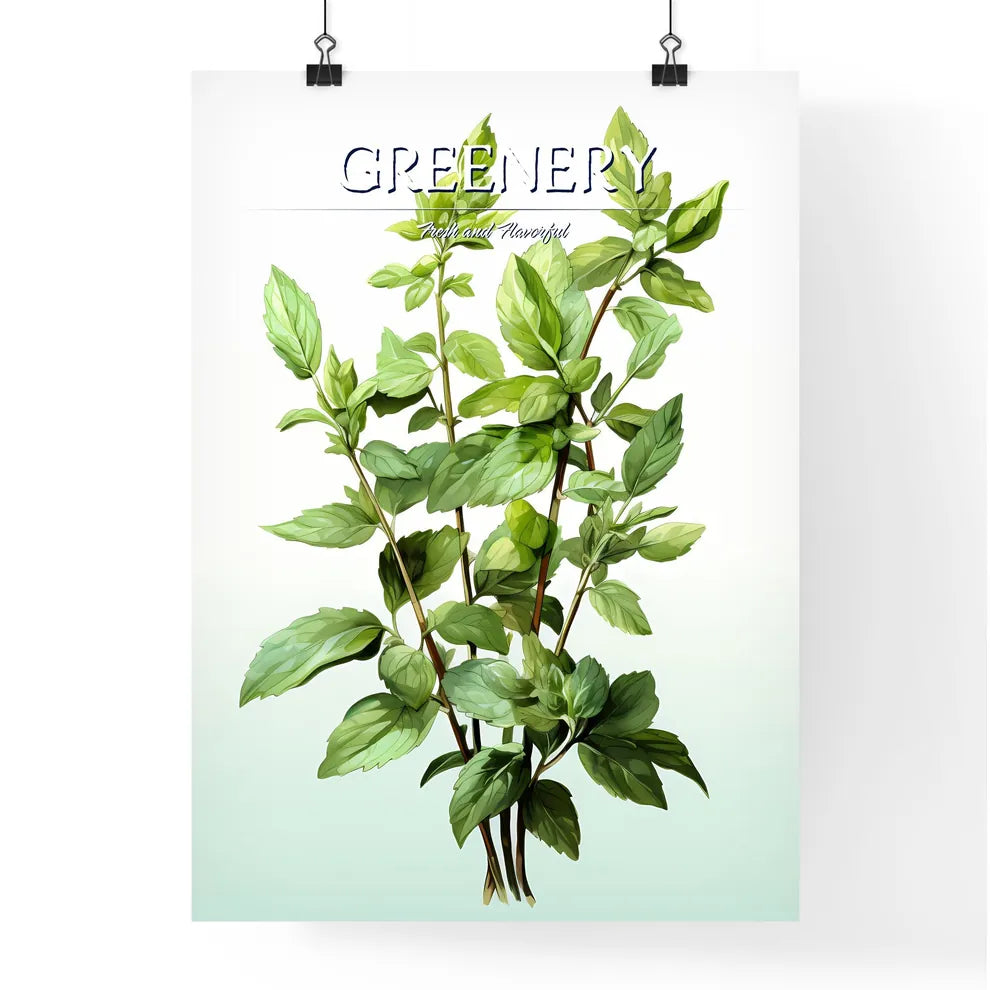 Mint - A Plant With Green Leave Poster