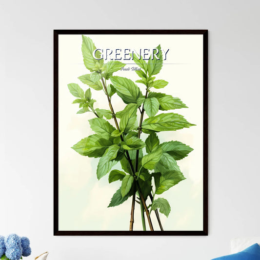 Mint - A Plant With Green Leave - Framed Art Print