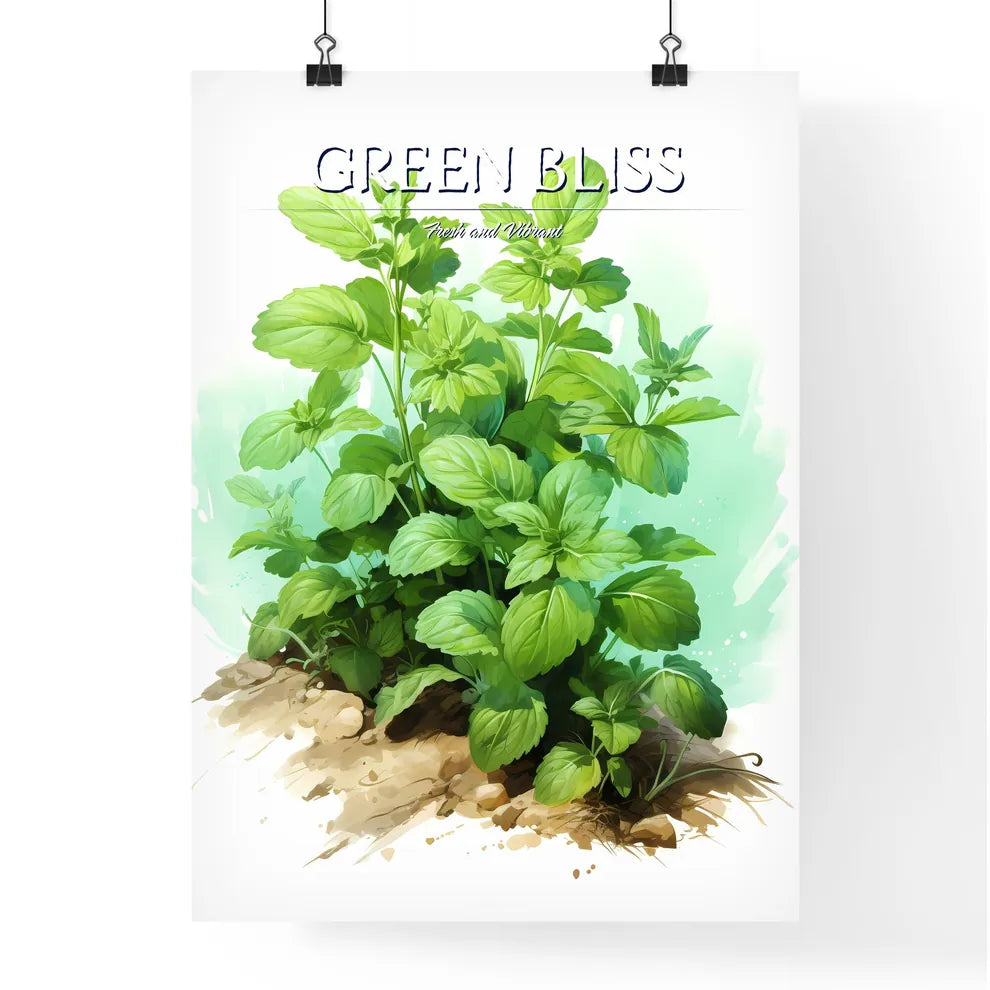 Mint In Garden - A Plant With Green Leave Poster