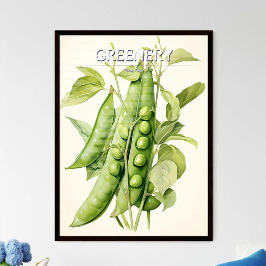Peas - A Pea Plant With Leaves  - Framed Art Print