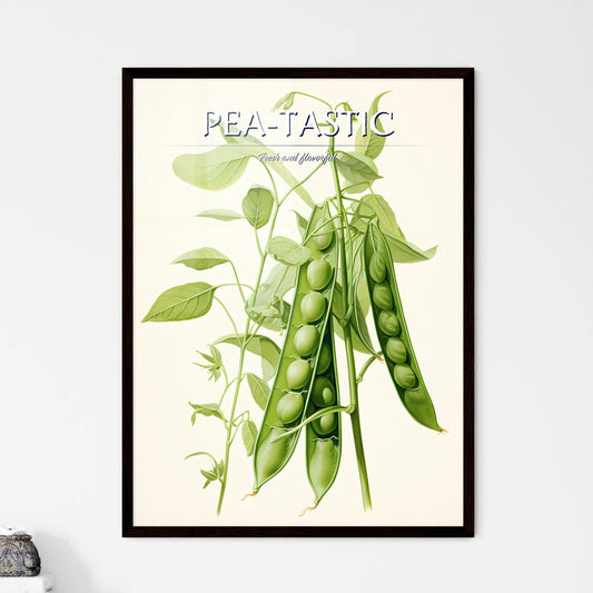 Peas - A Pea Plant With Green L - Framed Art Print