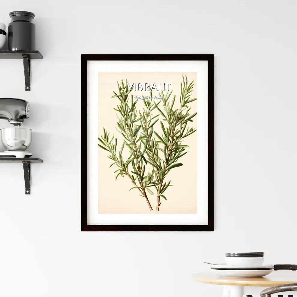 Rosemary - A Close Up Of A Plan Framed Print