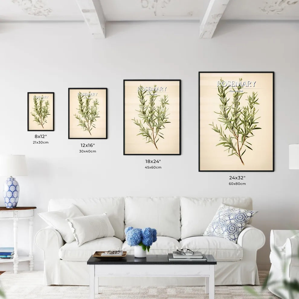 Rosemary - A Plant With Green Leave - Kitchen Hangings