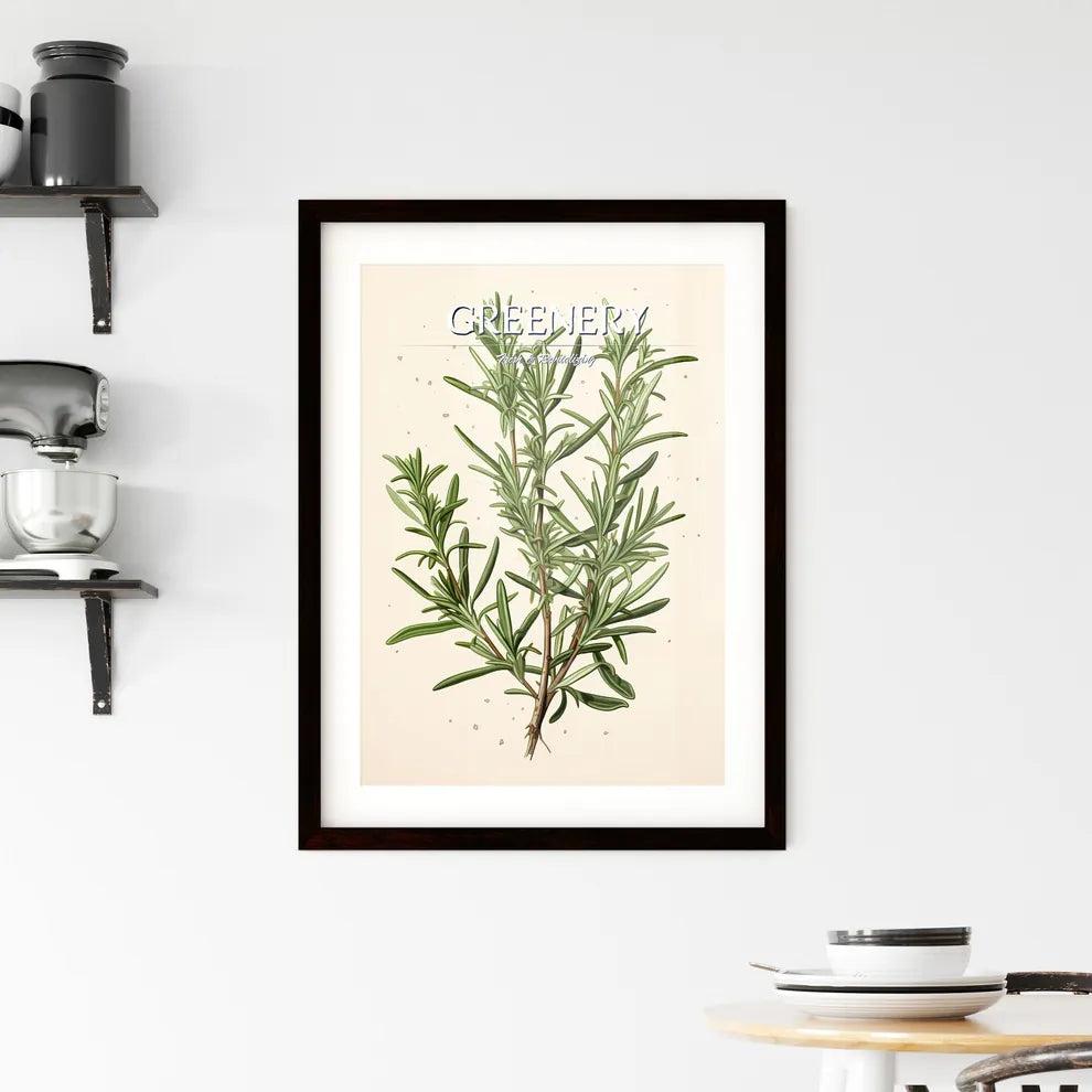 Rosemary - A Plant With Green Leave Framed Print