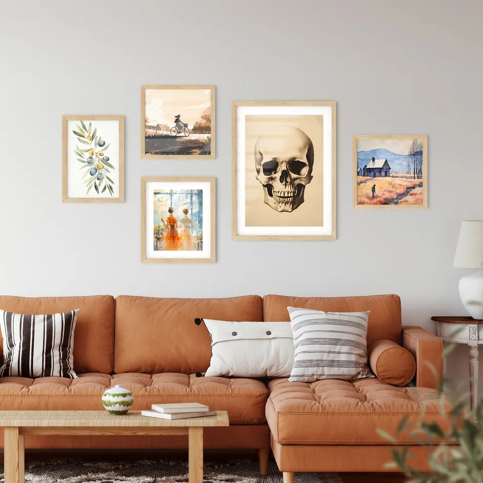 Study - A Skull On A White Backgroun Framed Print