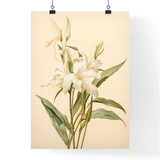 Vanilla - A Close Up Of A Flowe Poster