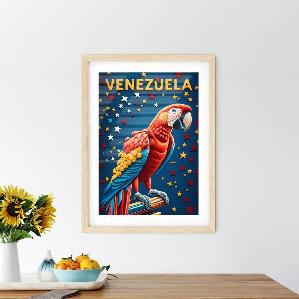 Venezuela  Size Chart