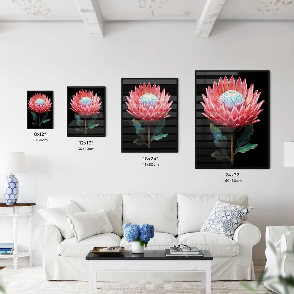 King Protea Isolated On Black Background Cen - Kitchen Hangings