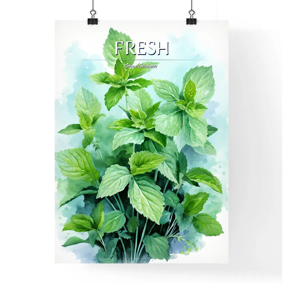 Mint Leaves Watercolor Illustration - A Clos Poster