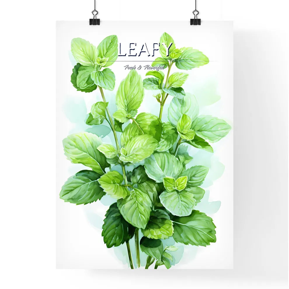 Mint Leaves Watercolor Illustration - A Clos Poster