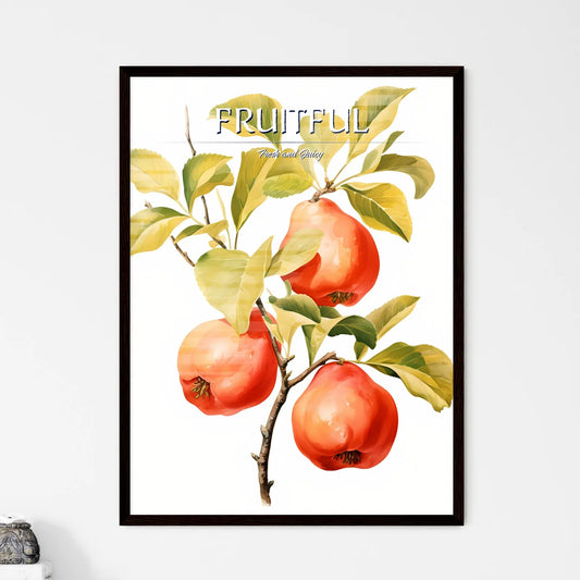 Quince Fruit With Leaf On White - A Branch W - Framed Art Print