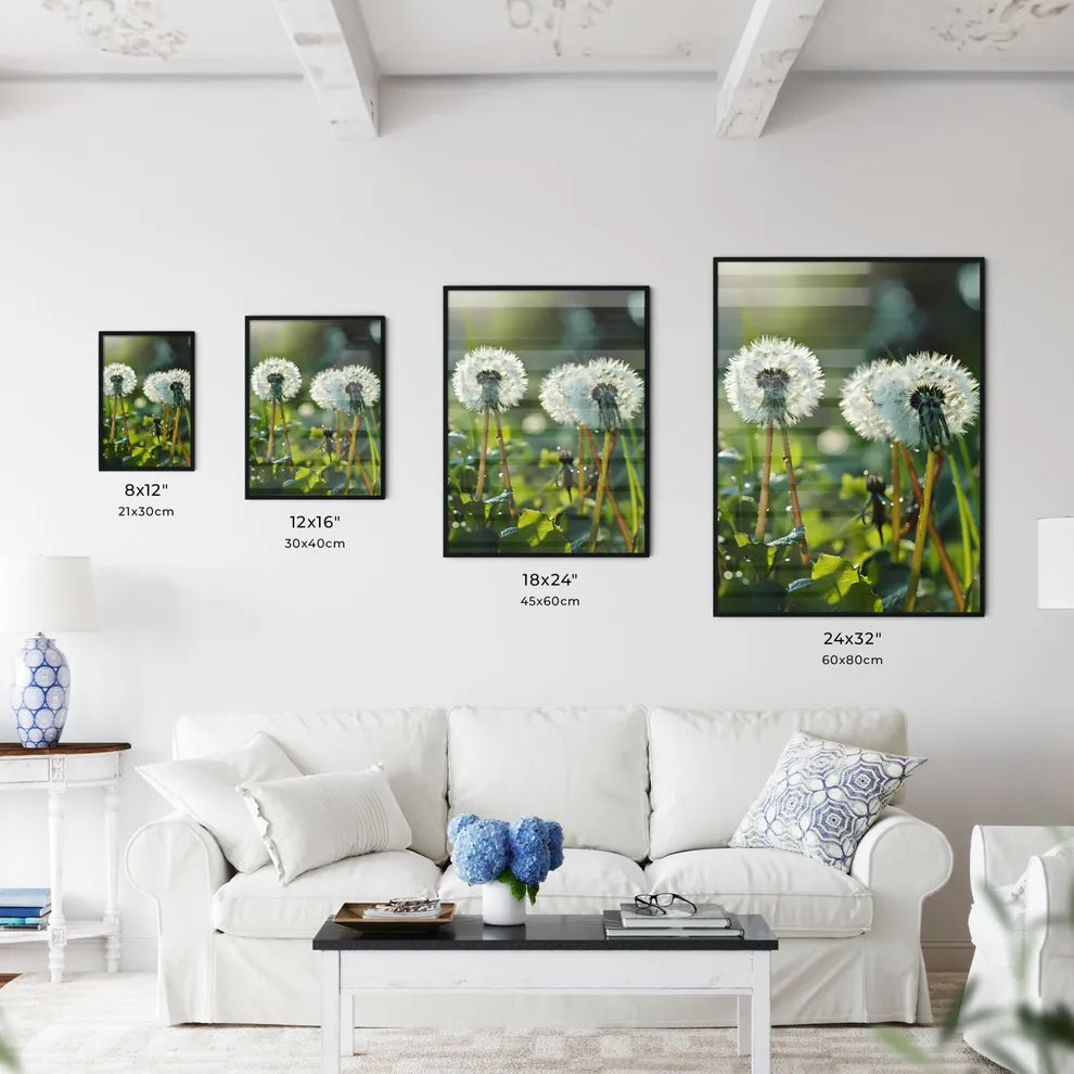 A Poster of On a light green background  Size Chart