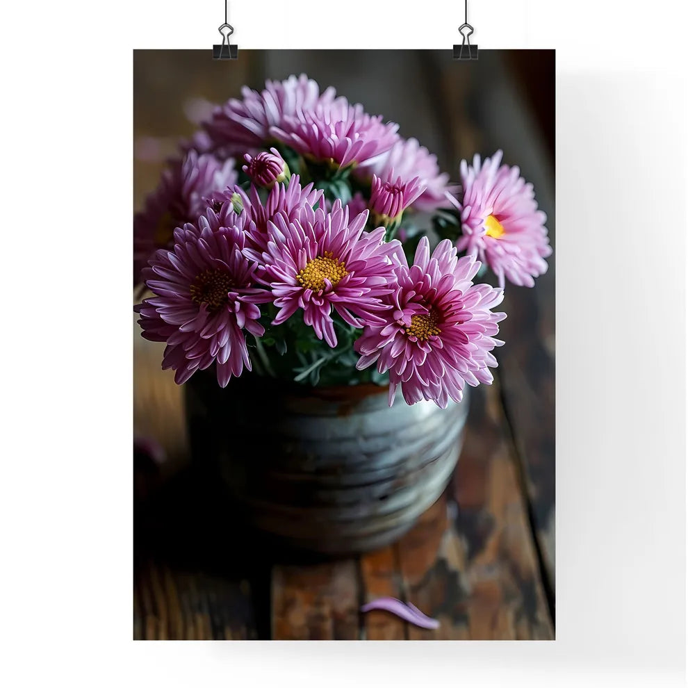 A Poster of A pot of purple chrysanthemums b Poster