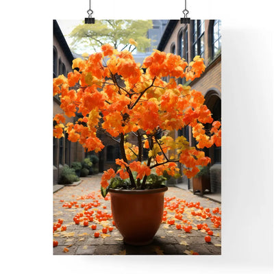 A Poster of Ugly orange trees in London - A Potted Plant With Orange Leaves