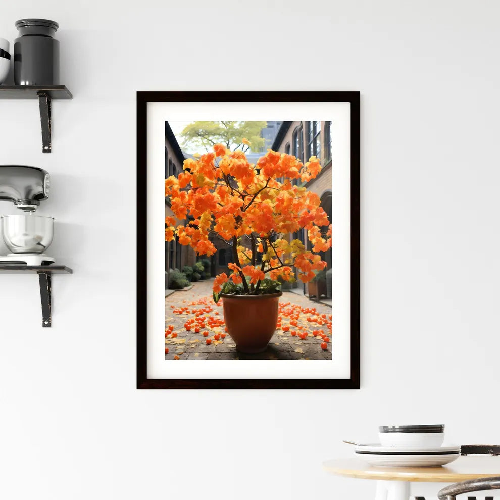 A Poster of Ugly orange trees in London - A Potted Plant With Orange Leaves Custom Print