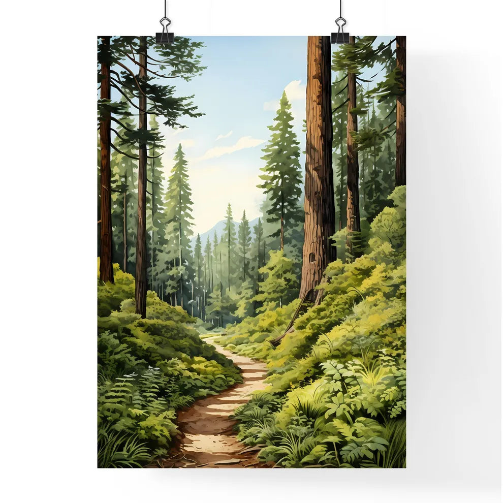 A Poster of Redwood National Park - A Path T Poster