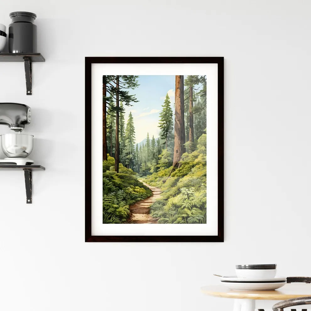 A Poster of Redwood National Park - A Path T Framed Print