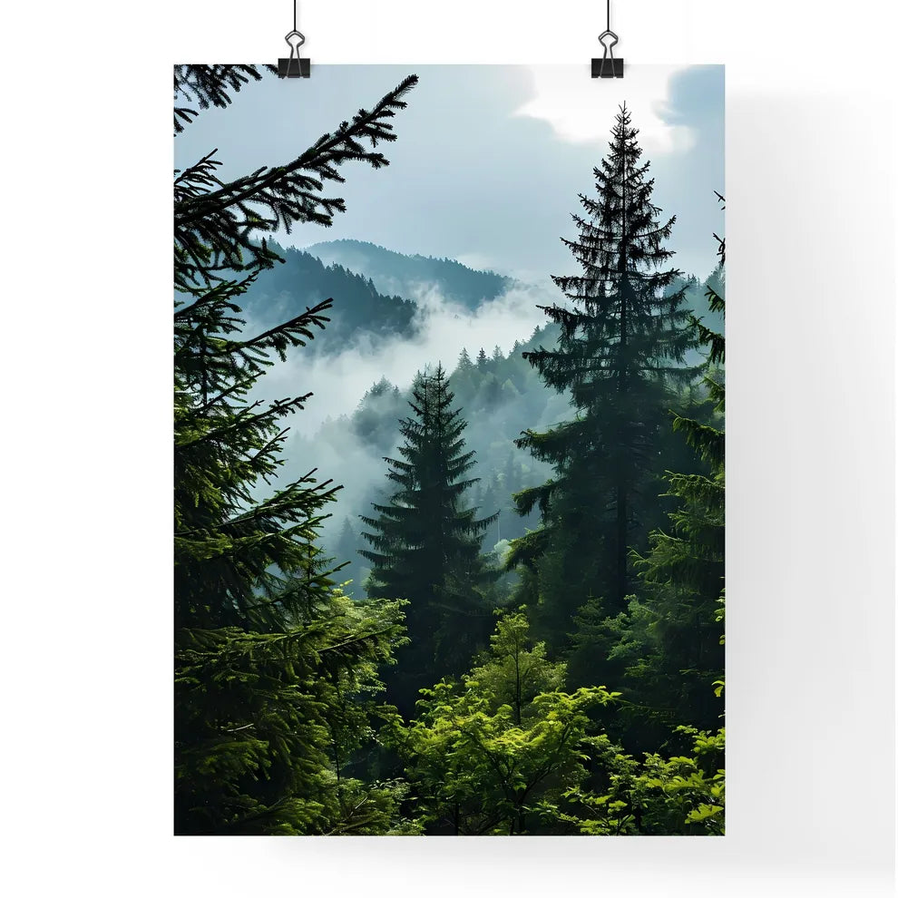 A Poster of tree mountain forest near mist - Poster