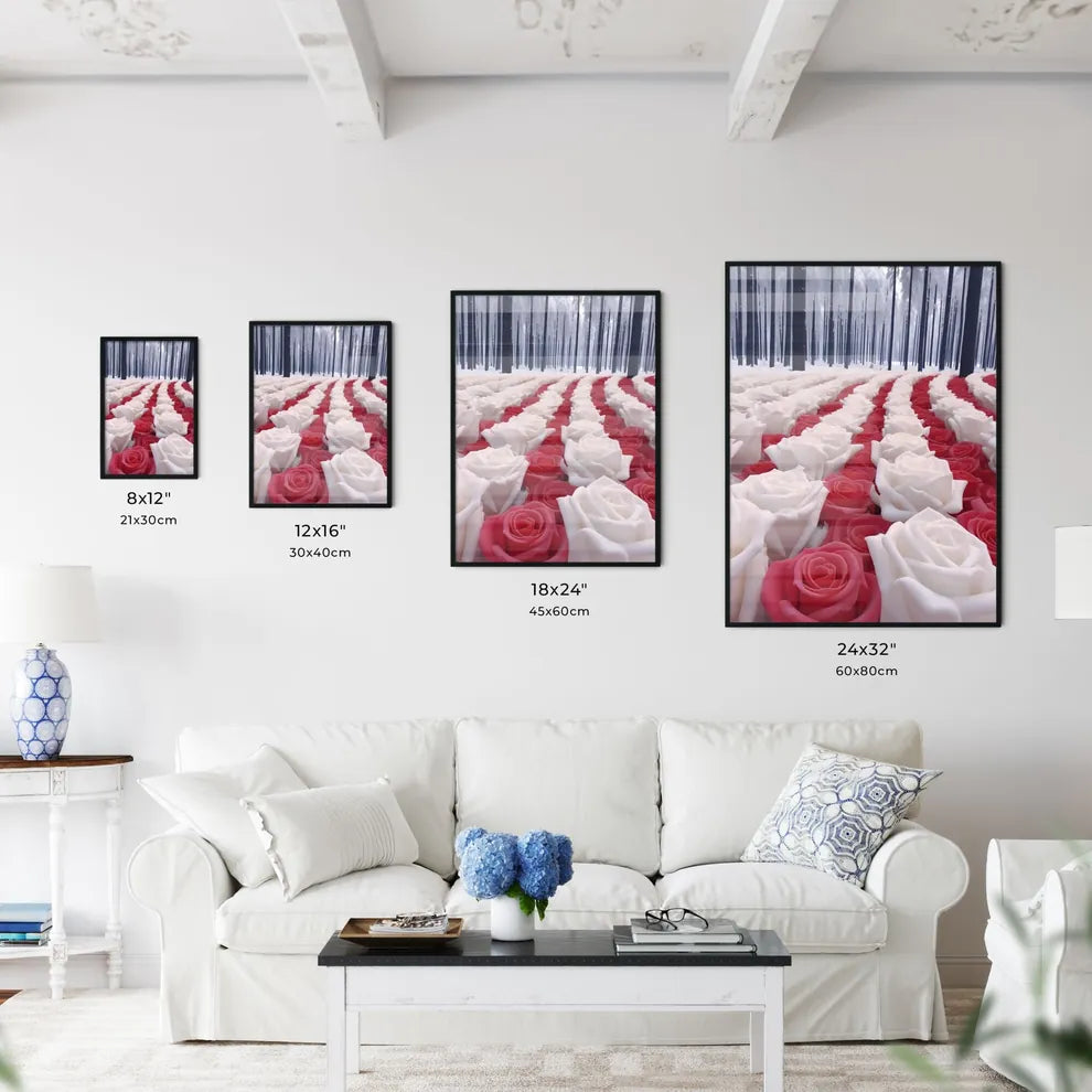 A Poster of photos of 1000 roses after heavy - Kitchen Hangings