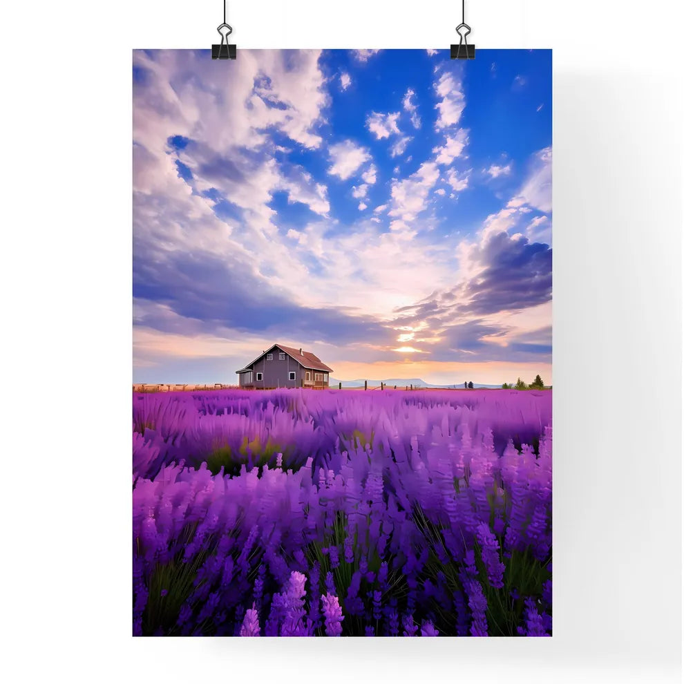 A Poster of large lavender flower sea - A Ho Poster
