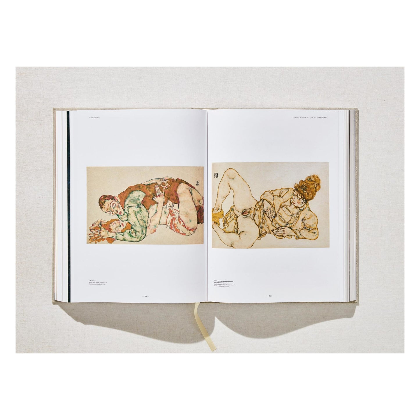 Egon Schiele. The Complete Paintings 1909–1918 (English)