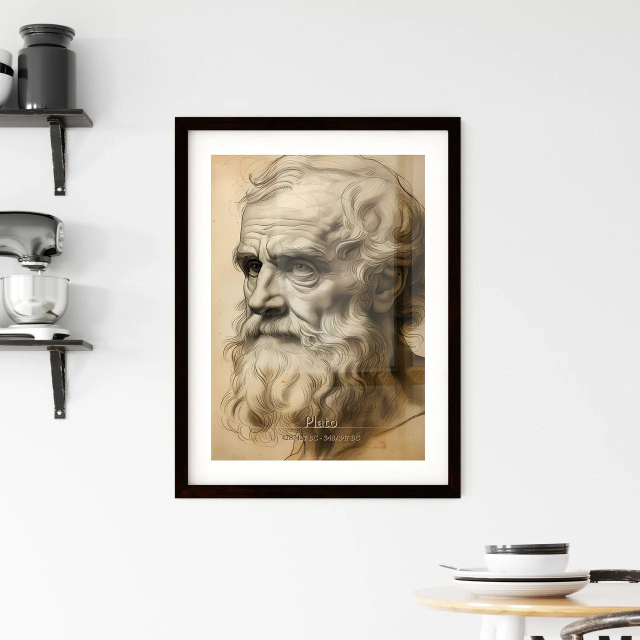 Plato Framed Print