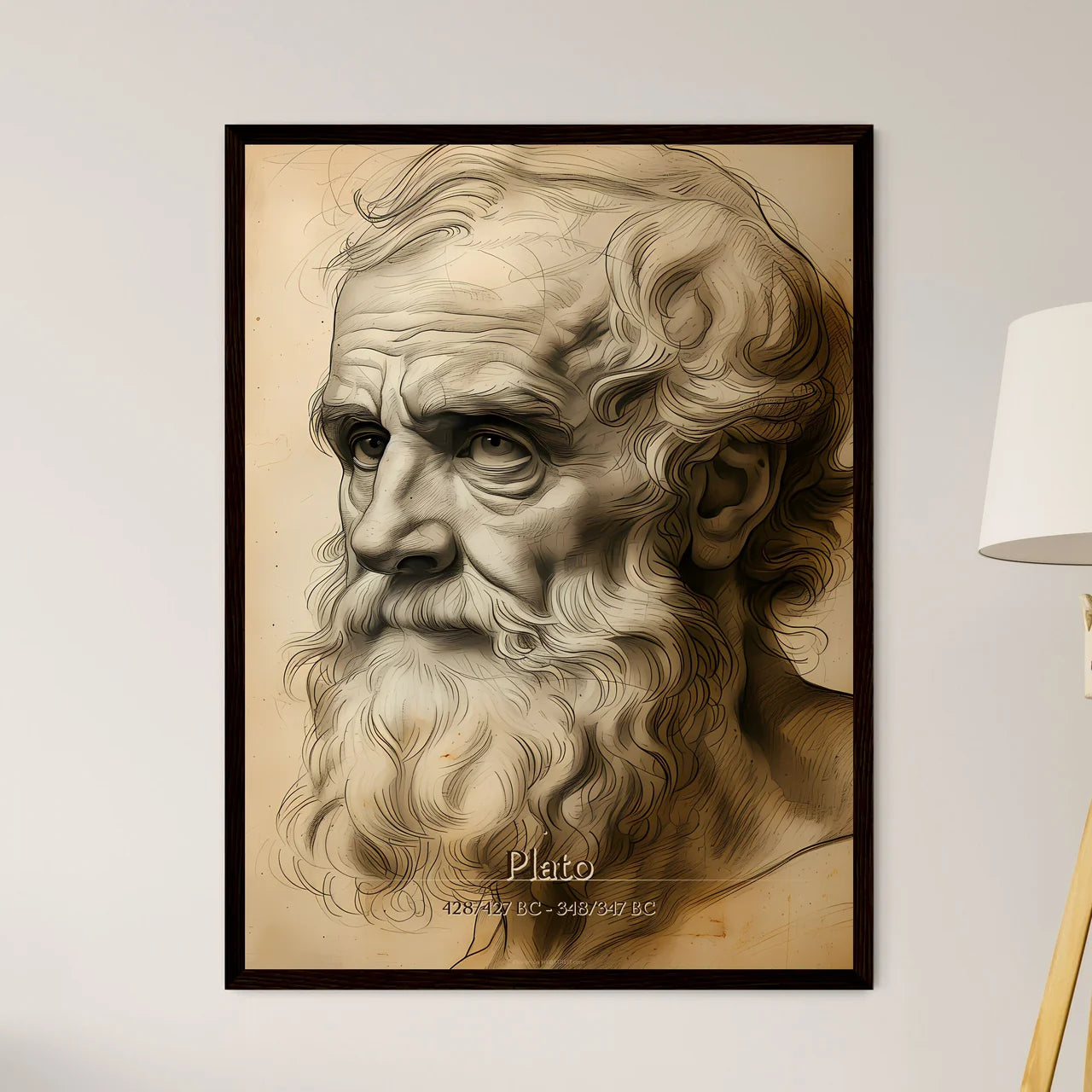 Plato - Framed Art Print