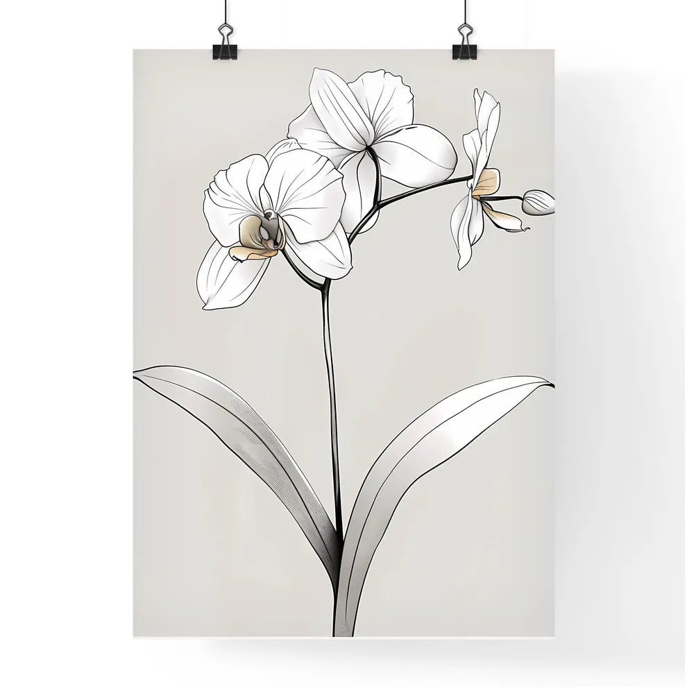 Minimalist Continuous Line Orchid Art Poster
