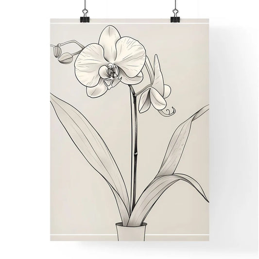 Minimalist Line Drawing Orchid Flower Art Poster