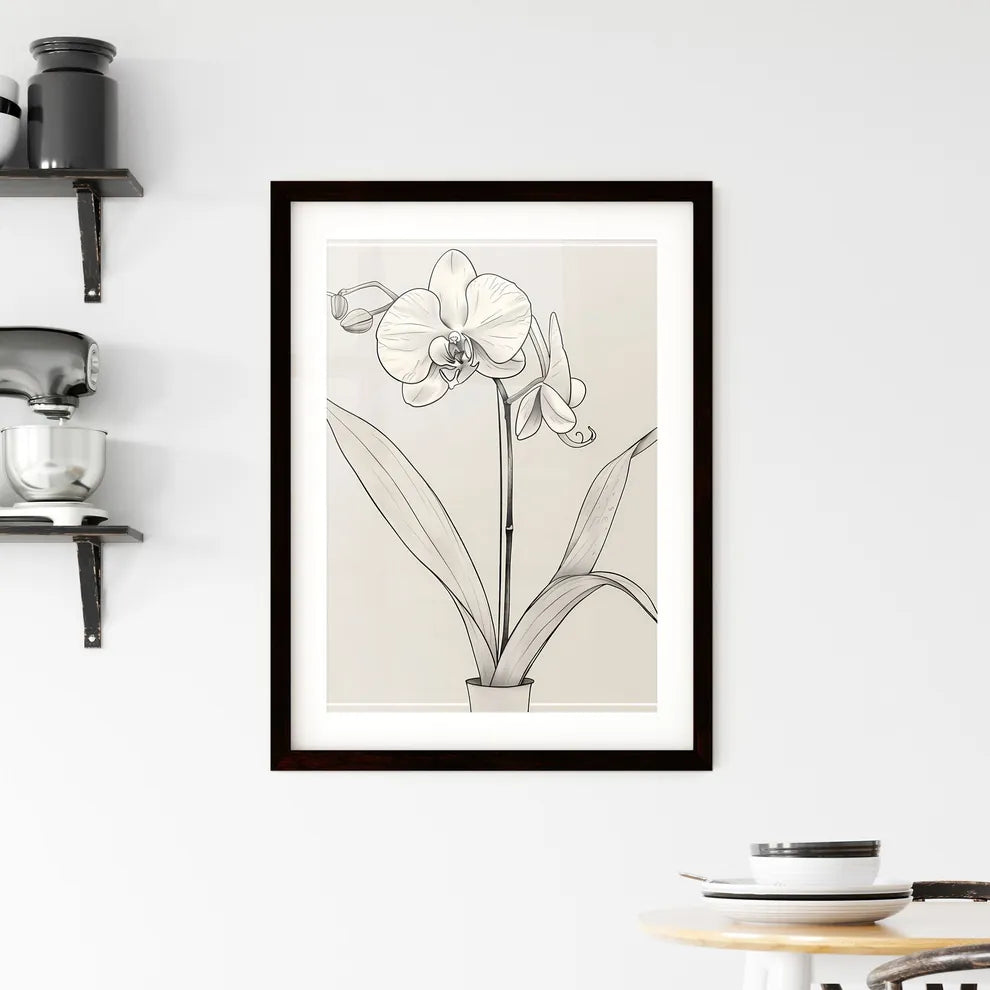 Minimalist Line Drawing Orchid Flower Art Framed Print
