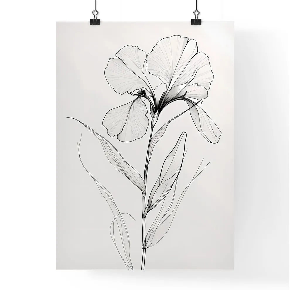 Single Line Orchid Flower Drawing Poster