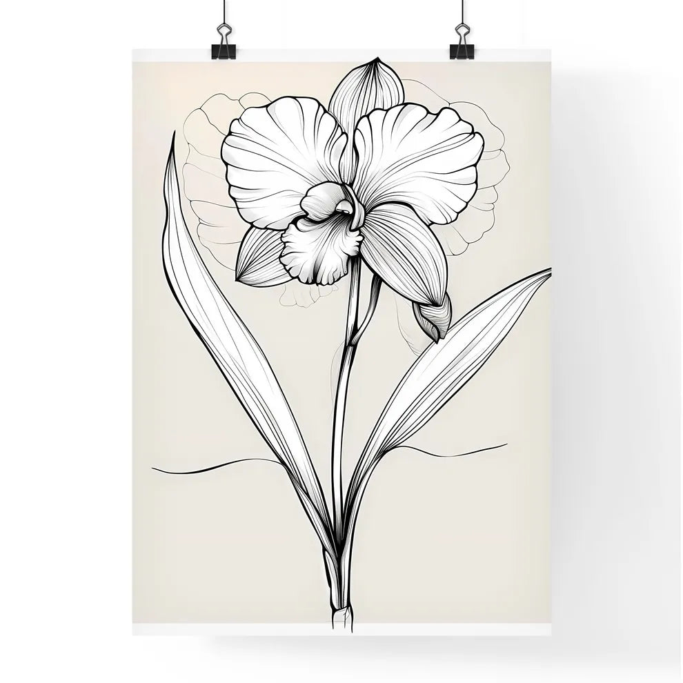Single Line Orchid Drawing - Elegant Minimal Poster
