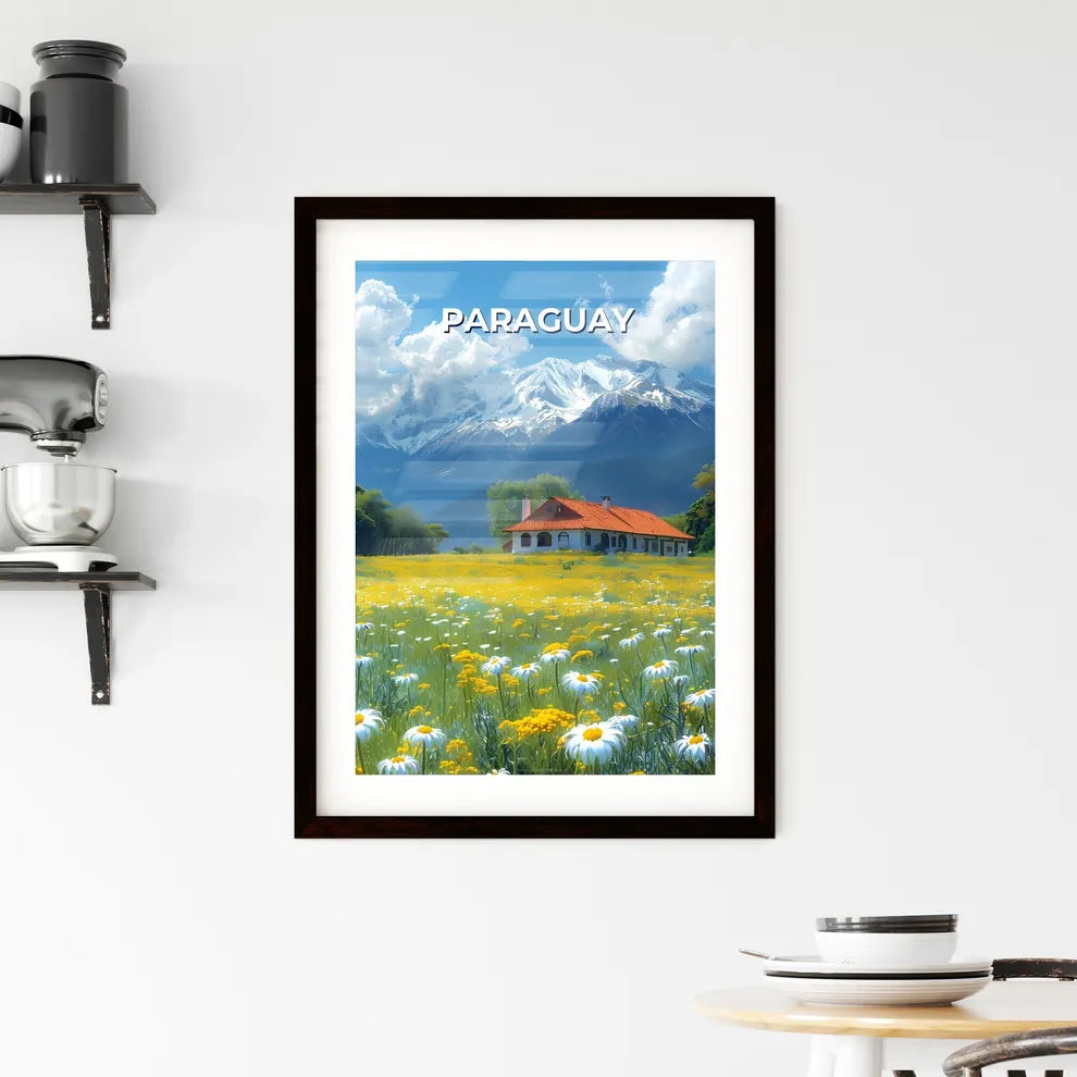 Vibrant Painted House Amidst Blooming Flowers in Paraguay, South America Custom Print