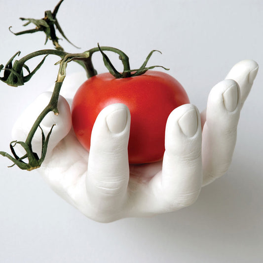 HAND HOOKS - HAND WALL HOOKS & BOWLS | Harry Allen | Areaware