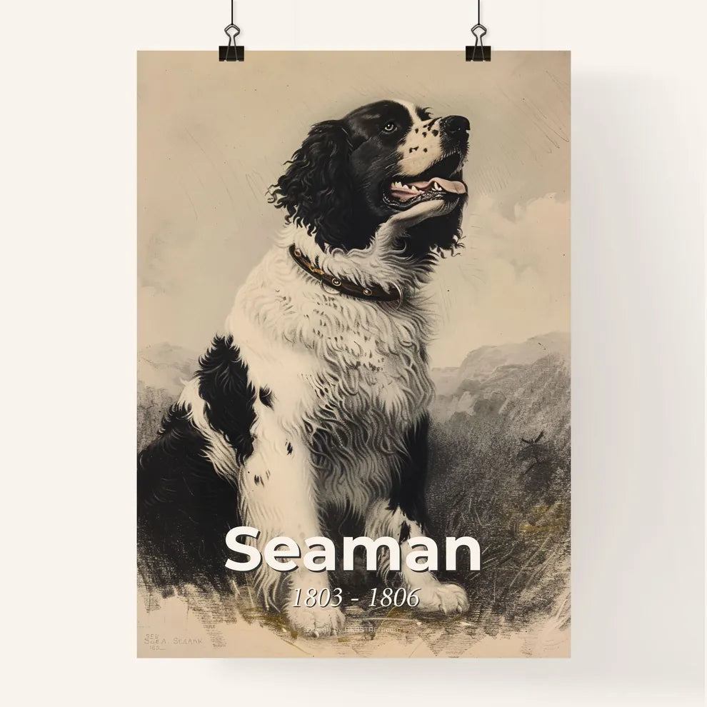 Whimsical Tribute to the Newfoundland Dog: Lewis & Clark's Loyal Companion  Poster