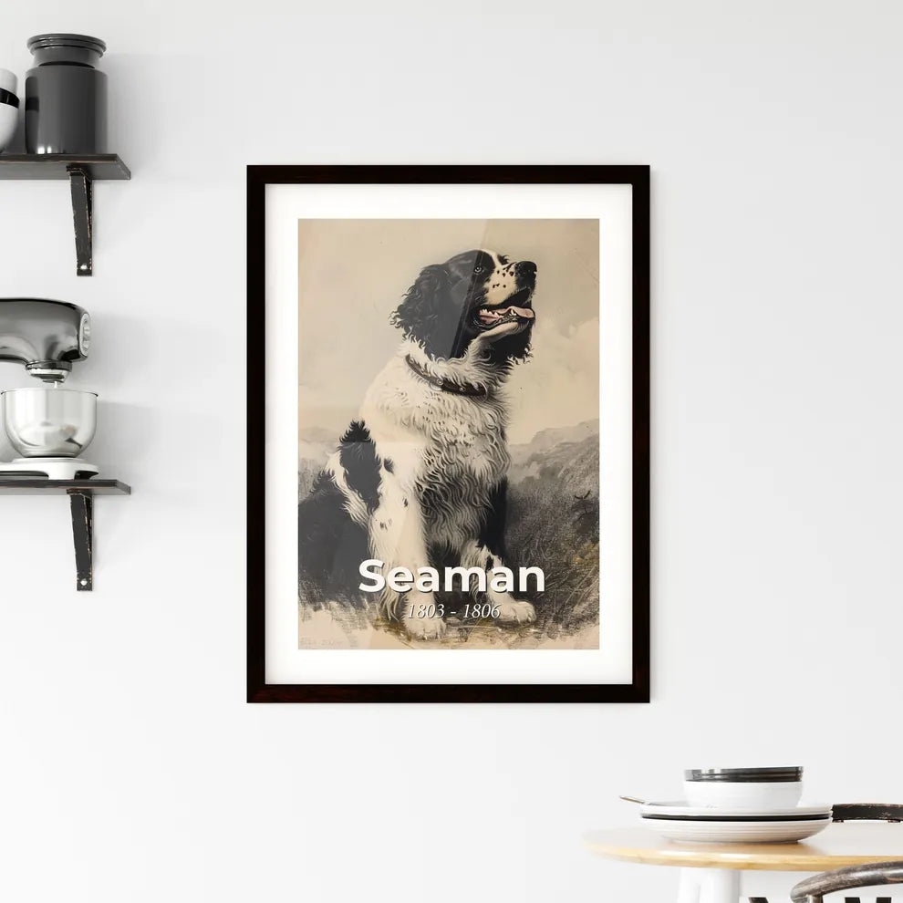 Whimsical Tribute to the Newfoundland Dog: Lewis & Clark's Loyal Companion  Framed Print